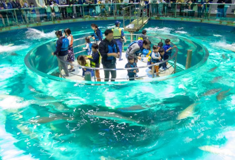 釣った魚をその場で食べる？体験型水族館「城崎マリンワールド」 FUN×KOBE