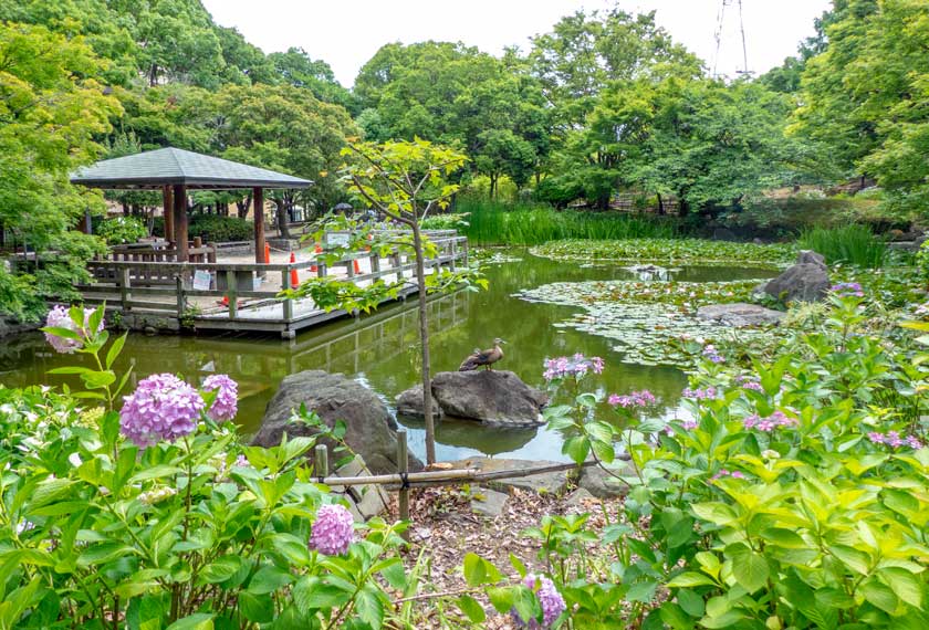 元浜緑地の池